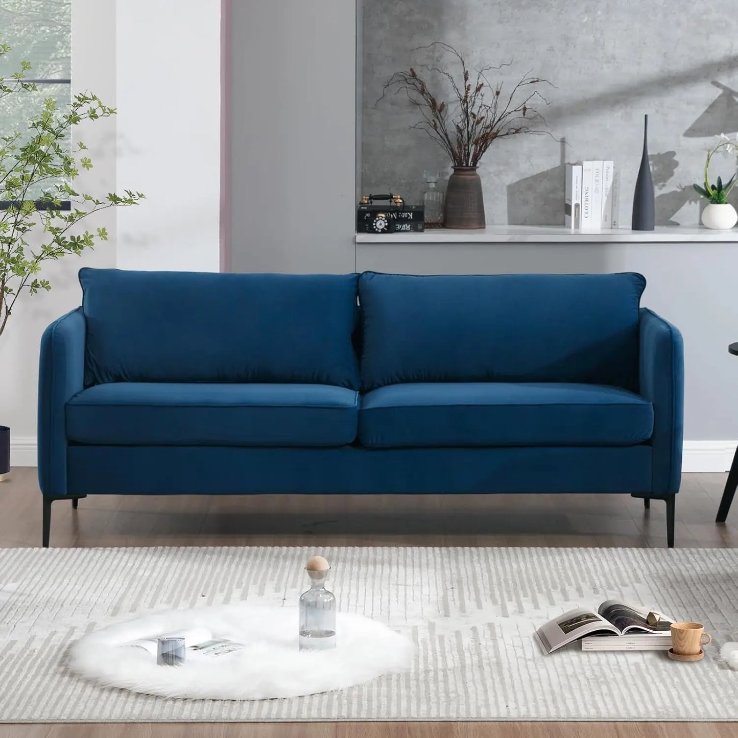 Modern Couch sofa